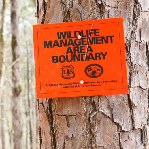 Wildlife Management Area 