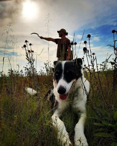 Osho and Adam... Adam was gathering wildflower seeds