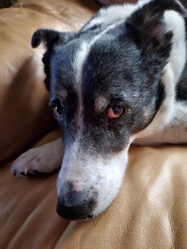 Osho - Get that camera out of my face